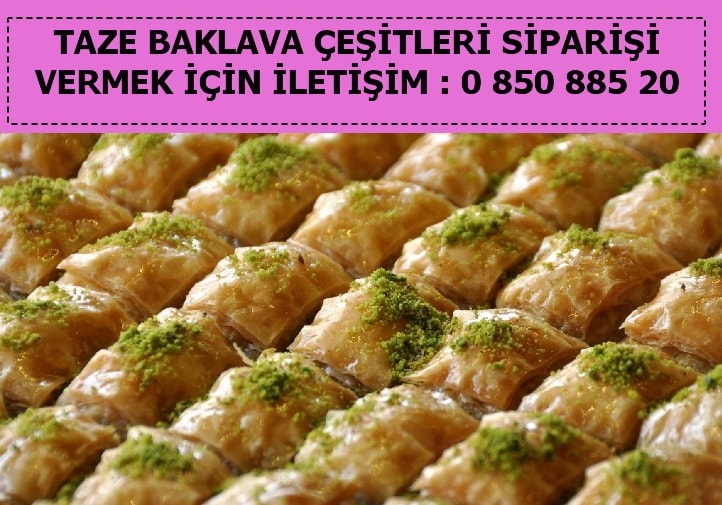 Zonguldak Meyveli Tartolet baklava çeşitleri baklava tepsisi fiyatı tatlı çeşitleri fiyatı ucuz baklava siparişi gönder yolla