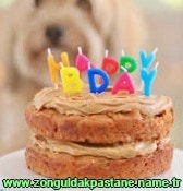 Zonguldak 19 Mayıs Mahallesi adrese yaş pasta siparişi gönder yolla ucuz doğum günü pastası siparişi ver